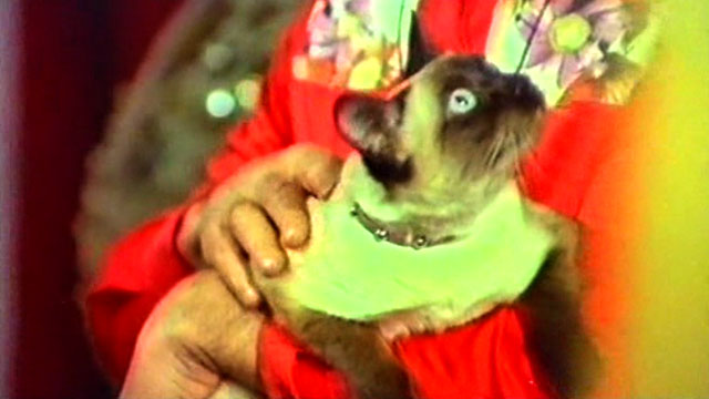 The Killer Wore Gloves - La muerte llama a las 10 - Mr. Lewis Carlos Otero holding Siamese cat Bonzo