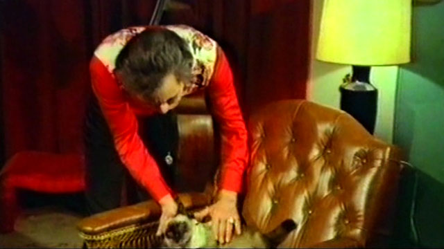 The Killer Wore Gloves - La muerte llama a las 10 - Mr. Lewis Carlos Otero reaching for Siamese cat Bonzo on chair