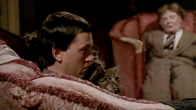 Killing Dad - brown tabby cat Sebastian Sebby sitting with Berg Richard E. Grant on couch