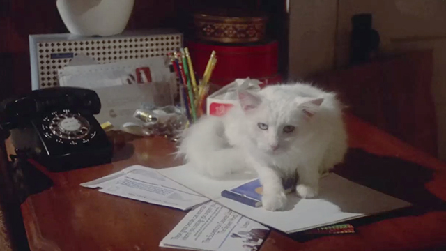 The Killing Kind - white cat Penny on desk