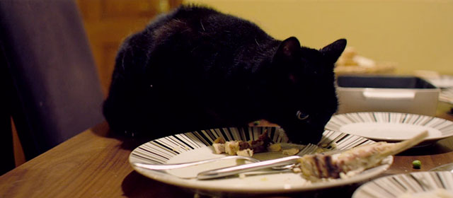 Kill List - black cat eating leftover food on kitchen table