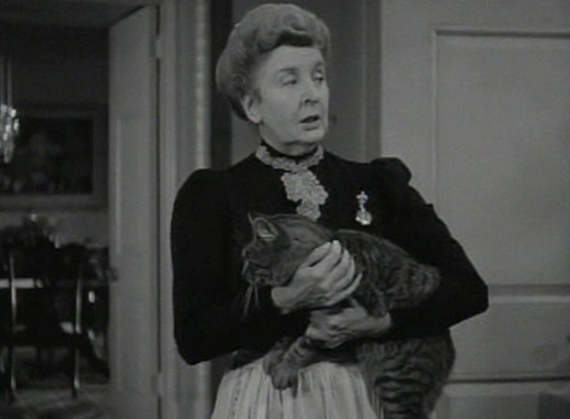 Kind Lady - Harold cat being carried from room