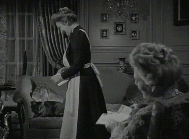 Kind Lady - Harold cat on couch