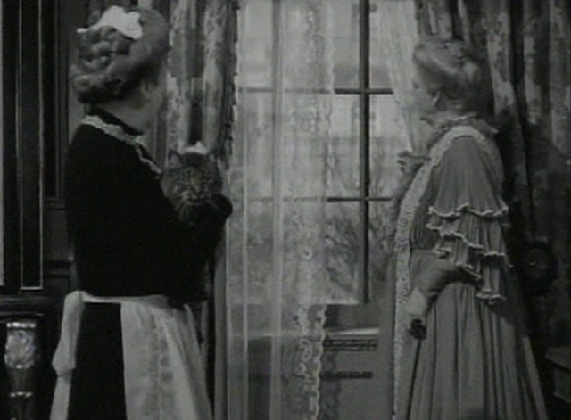 Kind Lady - Harold cat being carried