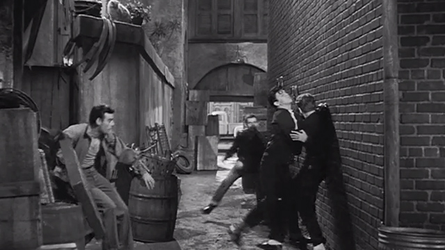 King Creole - tabby cat on top of wall as Danny Elvis Presley gets into fight with thugs in alley