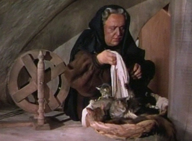 Kismet - Karsha pulling cloth out of basket with cat and kittens