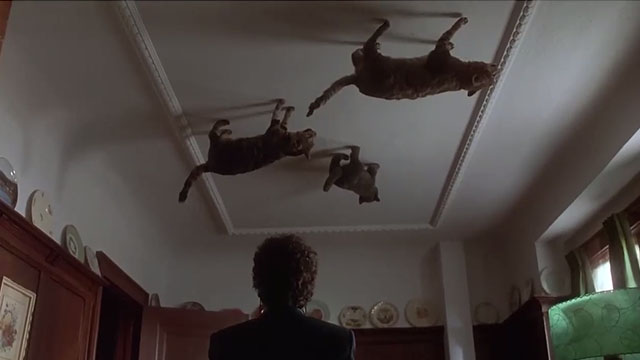 Kids in the Hall Brain candy - Dr. Cooper Kevin McDonald looking at cats on ceiling