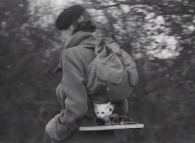 Kitten Carrier Bag - white kitten in harness on backpack