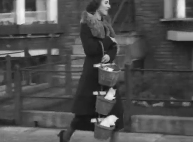 Kittens in a Basket - three white Angora kittens in a basket