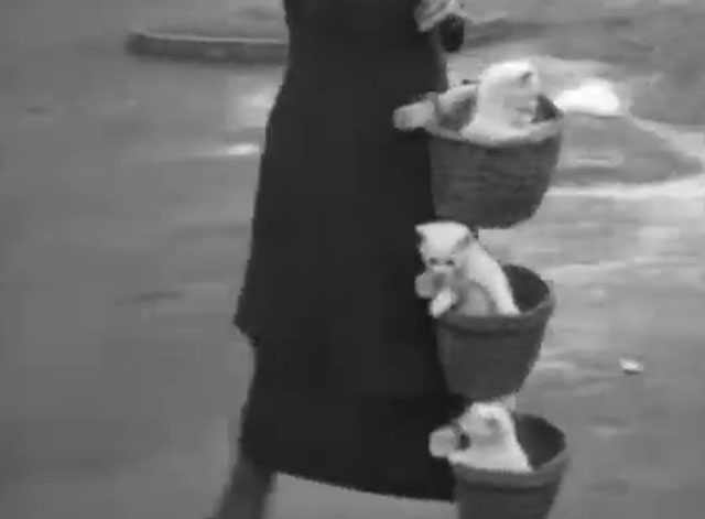 Kittens in a Basket - three white Angora kittens in a basket