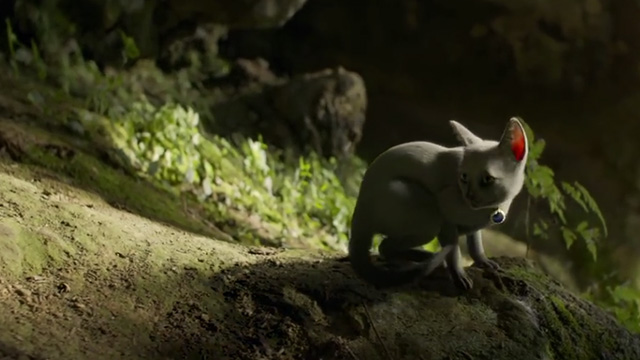 Kitten Witch - Freda gray kitten cowering outside cave