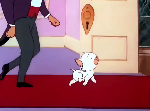 Kitty Cornered - white cartoon kitten Kitty Kuddles the III walking on red carpet