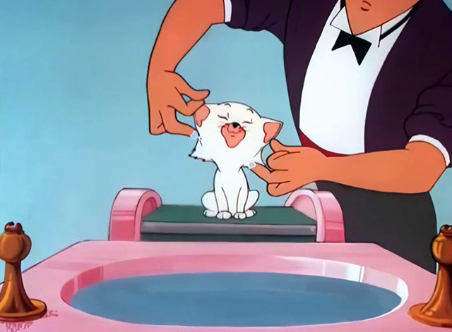 Kitty Cornered - white cartoon kitten Kitty Kuddles the III being washed gently by butler Snardley