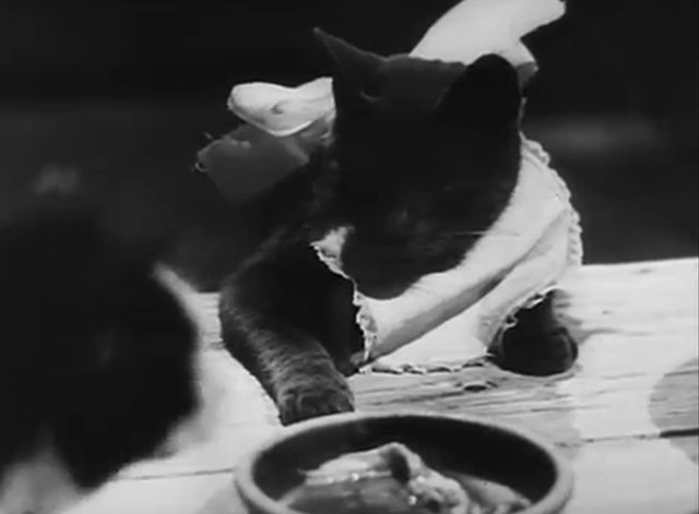 Der Kleine Muck - gray cat with bib watching tuxedo cat eating at table