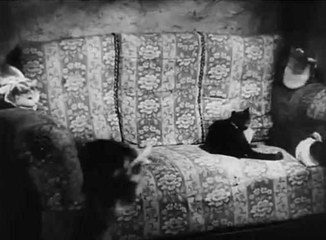 Der Kleine Muck - cats on couch about to run