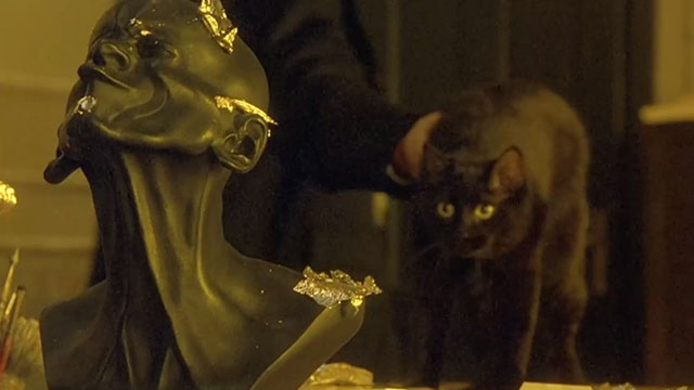 Klimt - black cat being set on table