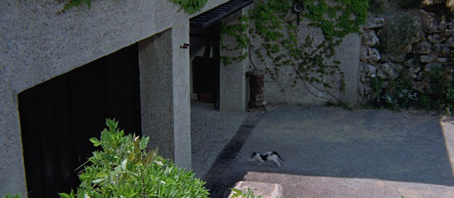 Knife of Ice - Il coltello di ghiaccio - black and white kitten running into garage