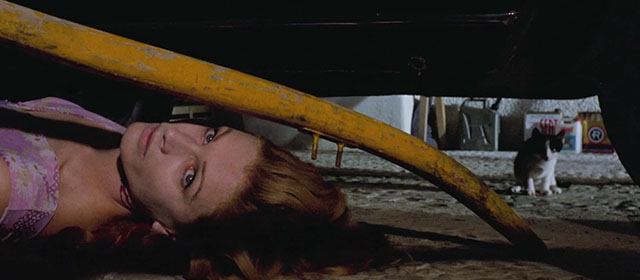 Knife of Ice - Il coltello di ghiaccio - black and white kitten seeing body of Jenny Ida Galli under car