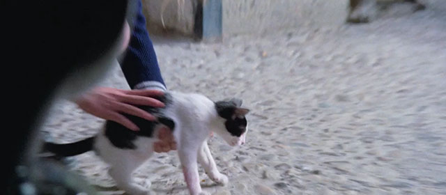 Knife of Ice - Il coltello di ghiaccio - Christina picking up black and white kitten