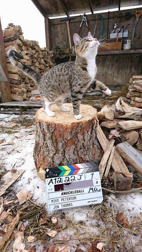 Knuckleball - torbie cat Smarty Pants on set of movie