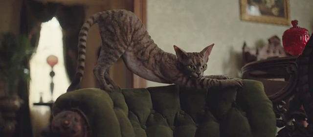 Lady and the Tramp - Devon Rex cat about to tear up couch