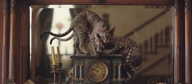 Lady and the Tramp - Devon and Rex cats huddling on clock on fireplace mantel