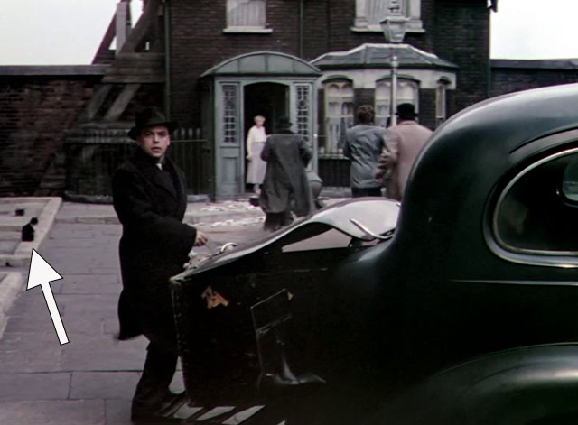 The Ladykillers - tuxedo cat sitting on sidewalk behind Louis Harvey Herbert Lom