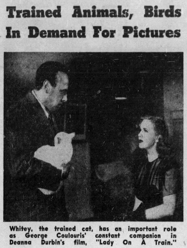 Lady on a Train - Saunders George Coulouris holding white cat Whitey with Nikki Deanna Durbin newspaper clipping