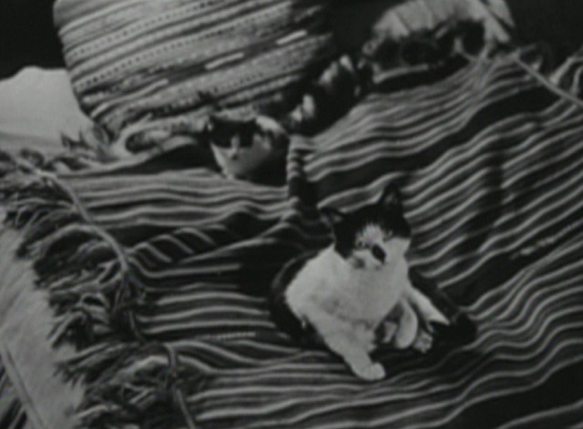 La Jetee cats on bed