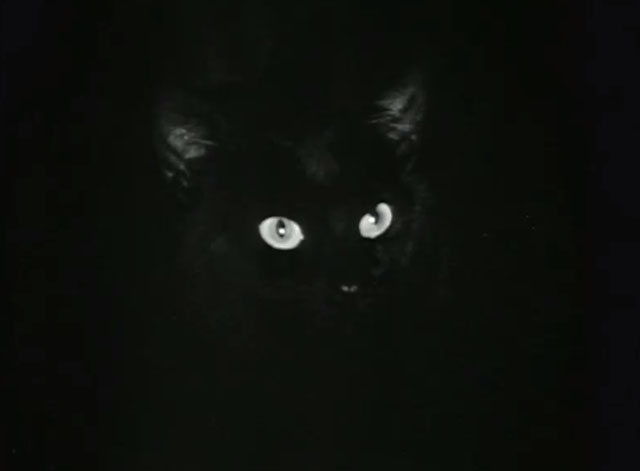 Land of the Open Range - black cat Lucifer eyes glowing in dark