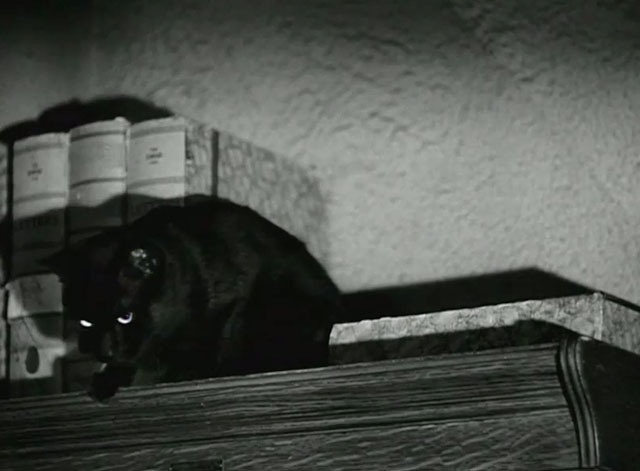 Land of the Open Range - black cat Lucifer on top of shelf