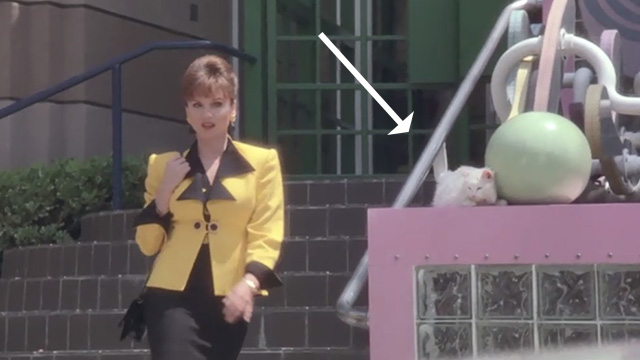 L.A. Story - short-haired white cat with one gold and one blue eye sitting to side as Trudi Marilu Henner passes