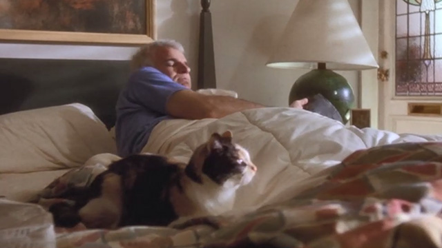 L.A. Story - calico cat lying beside Harris Steve Martin in bed