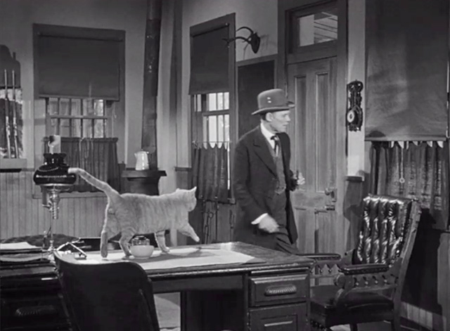 The Last Posse - tabby cat walking on desk in Sheriff's office with Stokley Henry Hull