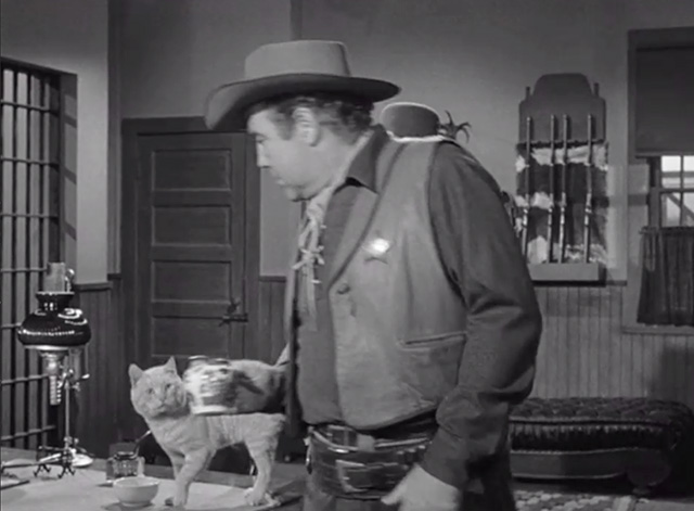 The Last Posse - tabby cat on desk with Sheriff John Frazier Broderick Crawford