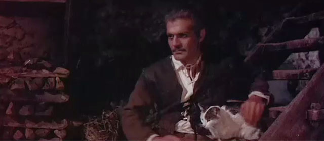 The Last Valley - Vogel Omar Sharif with grey and white tabby cat on steps