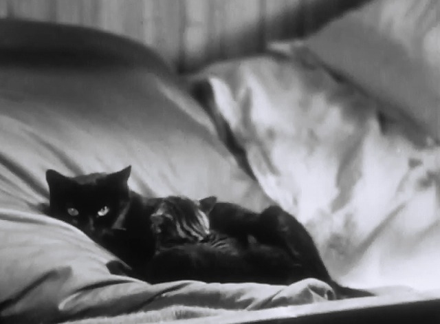 L'Atalante - black cat and kittens on Juliette's bed