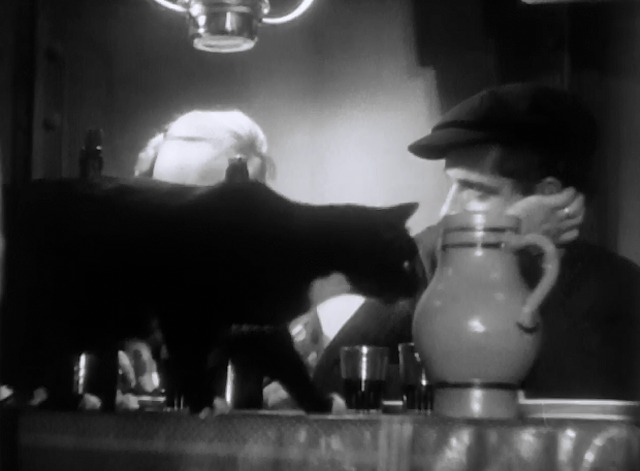 L'Atalante - black and white cat walks across dinner table