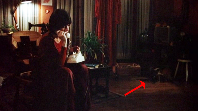 The Late Show - Margo Lily Tomlin sitting on phone with gray cat Winston in background