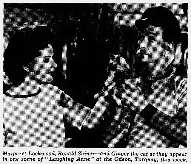 Laughing Anne - newspaper clipping of marmalade tabby cat Ginger with Nobby Ronald Shiner and Anne Margaret Lockwood