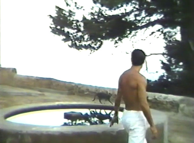 Laughter in the Dark - tabby cat running around fountain with Herve Jean-Claude Drouot