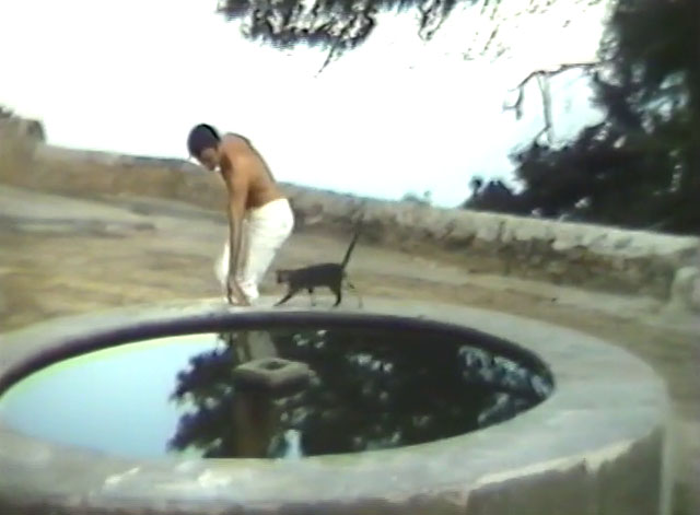 Laughter in the Dark - tabby cat running around fountain with Herve Jean-Claude Drouot