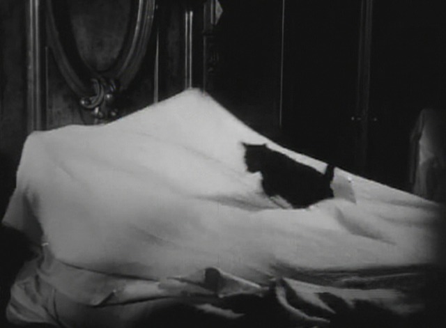 Laurel-Hardy Murder Case cat 2