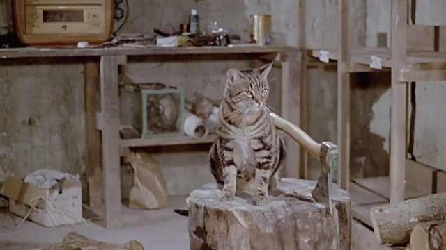 Le Chat - tabby cat Greffier in basement next to axe