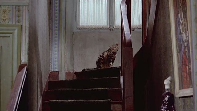 Le Chat - tabby cat Greffier sitting on stairs