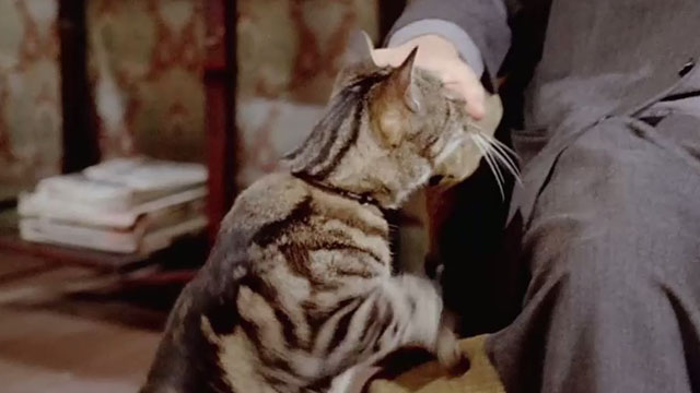 Le Chat - tabby cat Greffier by Julien's hand