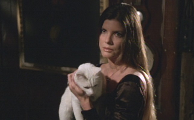 The Legacy Katharine Ross cat