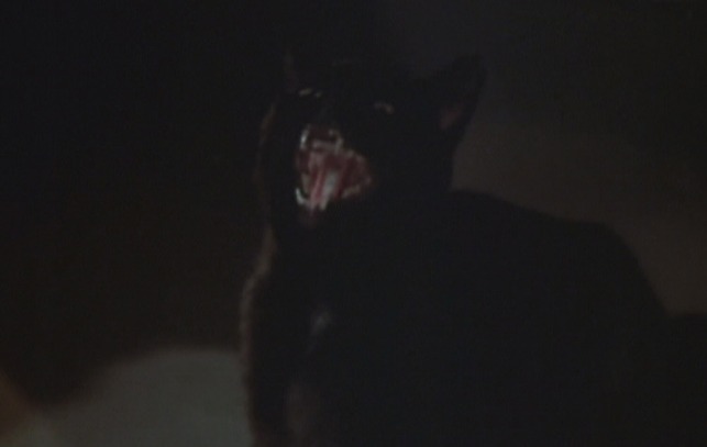 The Legend of Hell House black cat screams