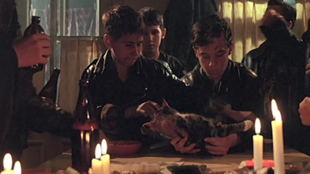 L&eacute;olo - Little Godin &Eacute;ric Cadorette and boys strapping calico cat to table