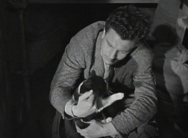 Les Maudits - black and white cat in the doctor's arms